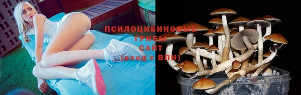 ПСИЛОЦИБИНОВЫЕ ГРИБЫ Абинск