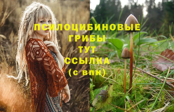 кокс Абаза
